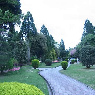 実際訪問したユーザーが直接撮影して投稿した甲田町糘地植物園 / 樹木園湧永満之記念庭園の写真