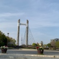 実際訪問したユーザーが直接撮影して投稿した木場橋木場公園大橋の写真