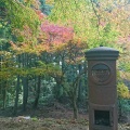 実際訪問したユーザーが直接撮影して投稿した平木寺播州清水寺の写真