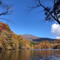実際訪問したユーザーが直接撮影して投稿した長老湖沼 / 池長老湖の写真
