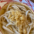 かけ - 実際訪問したユーザーが直接撮影して投稿した小瀬うどん丸亀製麺 貝塚店の写真のメニュー情報