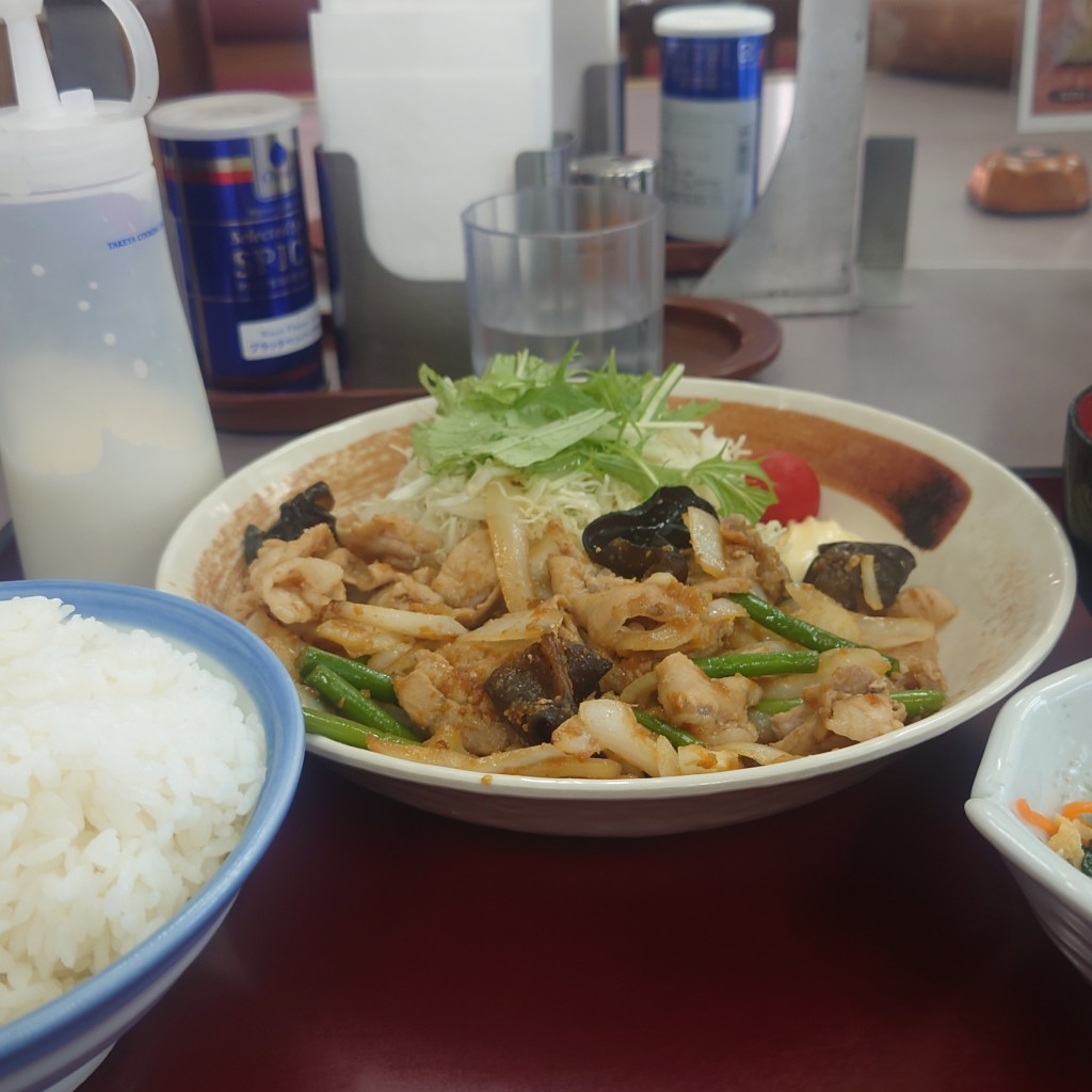 ユーザーが投稿したスタミナ焼肉定食の写真 - 実際訪問したユーザーが直接撮影して投稿した水海うどん山田うどん食堂 総和町店の写真