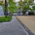 実際訪問したユーザーが直接撮影して投稿した江戸町公園江戸町公園の写真