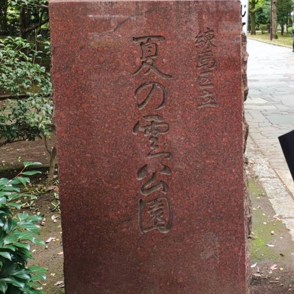 実際訪問したユーザーが直接撮影して投稿した光が丘公園夏の雲公園 みらいの広場の写真