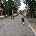 実際訪問したユーザーが直接撮影して投稿した東旭川南一条神社旭川神社の写真