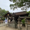 実際訪問したユーザーが直接撮影して投稿した深草鳥居崎町神社藤森神社の写真