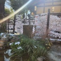 実際訪問したユーザーが直接撮影して投稿した田無町神社田無神社の写真