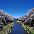 実際訪問したユーザーが直接撮影して投稿した河川野川の写真