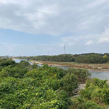 実際訪問したユーザーが直接撮影して投稿した河川庄内川の写真