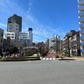 実際訪問したユーザーが直接撮影して投稿した白山植物園 / 樹木園小石川植物園の写真