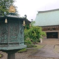 実際訪問したユーザーが直接撮影して投稿した豪徳寺寺豪徳寺の写真