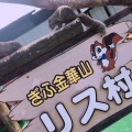 実際訪問したユーザーが直接撮影して投稿した槻谷動物園ぎふ金華山 リス村の写真