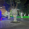 実際訪問したユーザーが直接撮影して投稿した桜木町公園鐘塚公園の写真