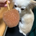 実際訪問したユーザーが直接撮影して投稿した大名スイーツ代官山Candy apple  天神店の写真