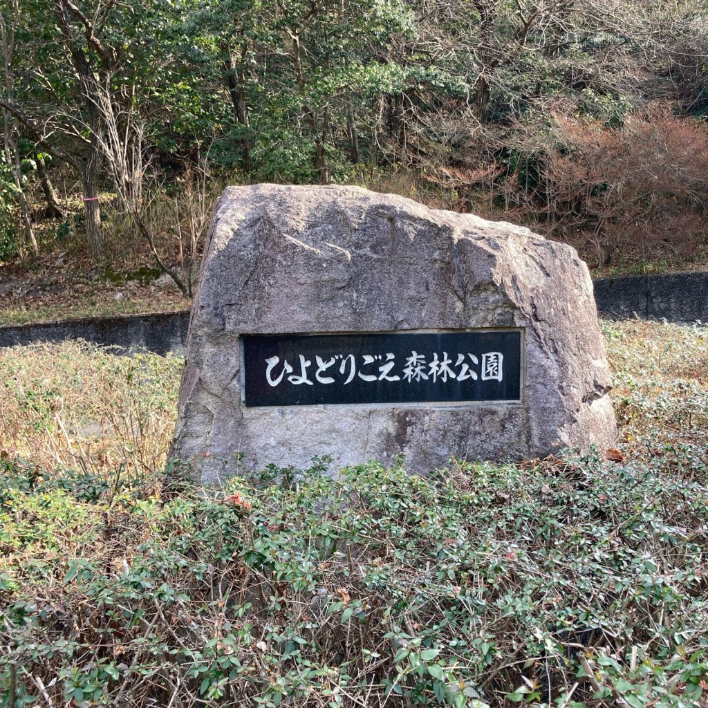 実際訪問したユーザーが直接撮影して投稿したひよどり台公園ひよどりごえ森林公園の写真