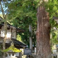 実際訪問したユーザーが直接撮影して投稿した荻町神社白川八幡神社の写真