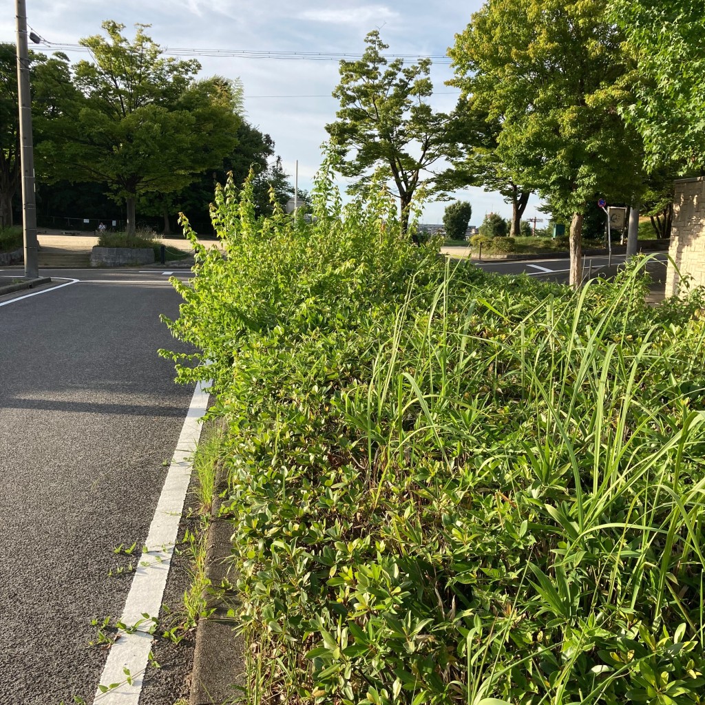 実際訪問したユーザーが直接撮影して投稿した鹿山公園鹿山街園の写真