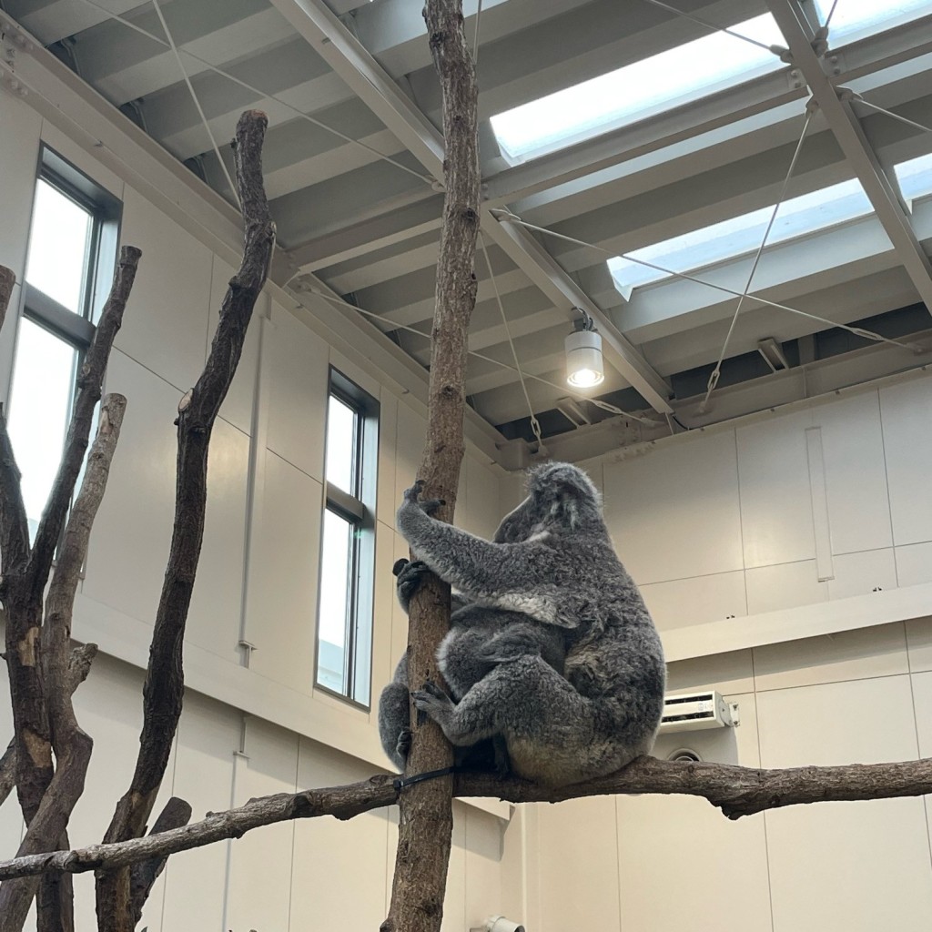 実際訪問したユーザーが直接撮影して投稿した平川町スイーツ平川動物公園 インドの森ゾーン売店の写真