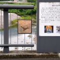 実際訪問したユーザーが直接撮影して投稿した河川那珂川の写真