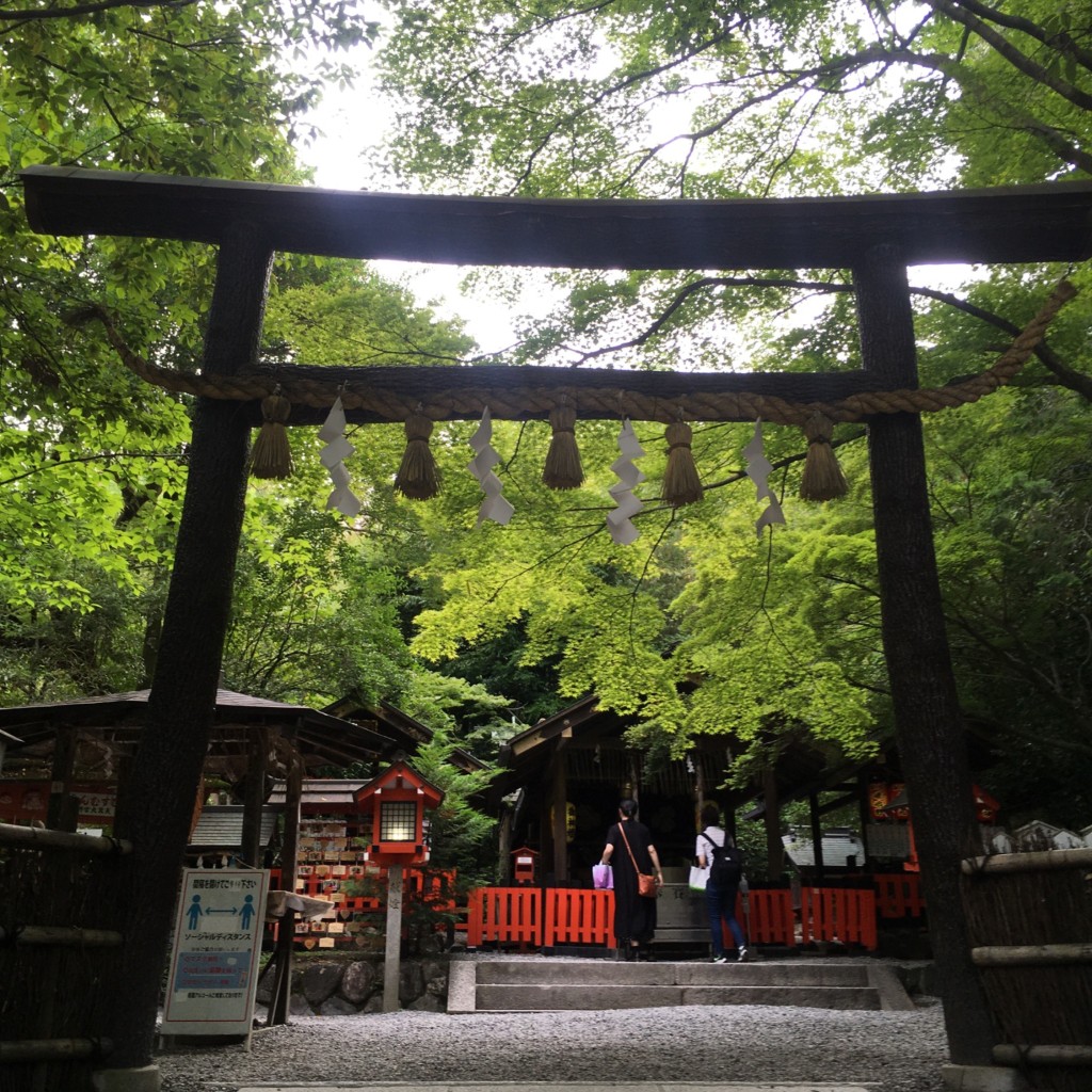 みみみぃみさんが投稿した嵯峨野宮ノ元町神社のお店野宮神社/ノノミヤジンジャの写真