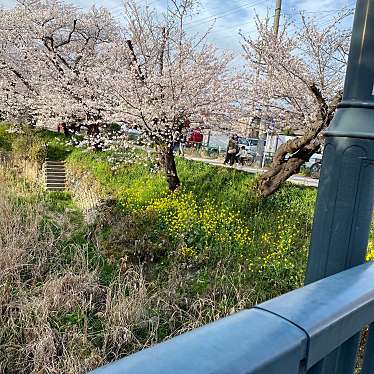 実際訪問したユーザーが直接撮影して投稿した河川岩倉五条川の写真