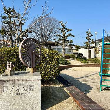 実際訪問したユーザーが直接撮影して投稿した三好丘桜公園貝ノ木公園の写真