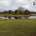 実際訪問したユーザーが直接撮影して投稿した東光町公園泉の沼公園の写真