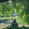 実際訪問したユーザーが直接撮影して投稿した日比谷公園地域名所日比谷公園 鶴の噴水の写真