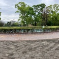 実際訪問したユーザーが直接撮影して投稿した東七松町公園橘公園の写真