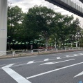 実際訪問したユーザーが直接撮影して投稿した弁天公園千葉公園の写真