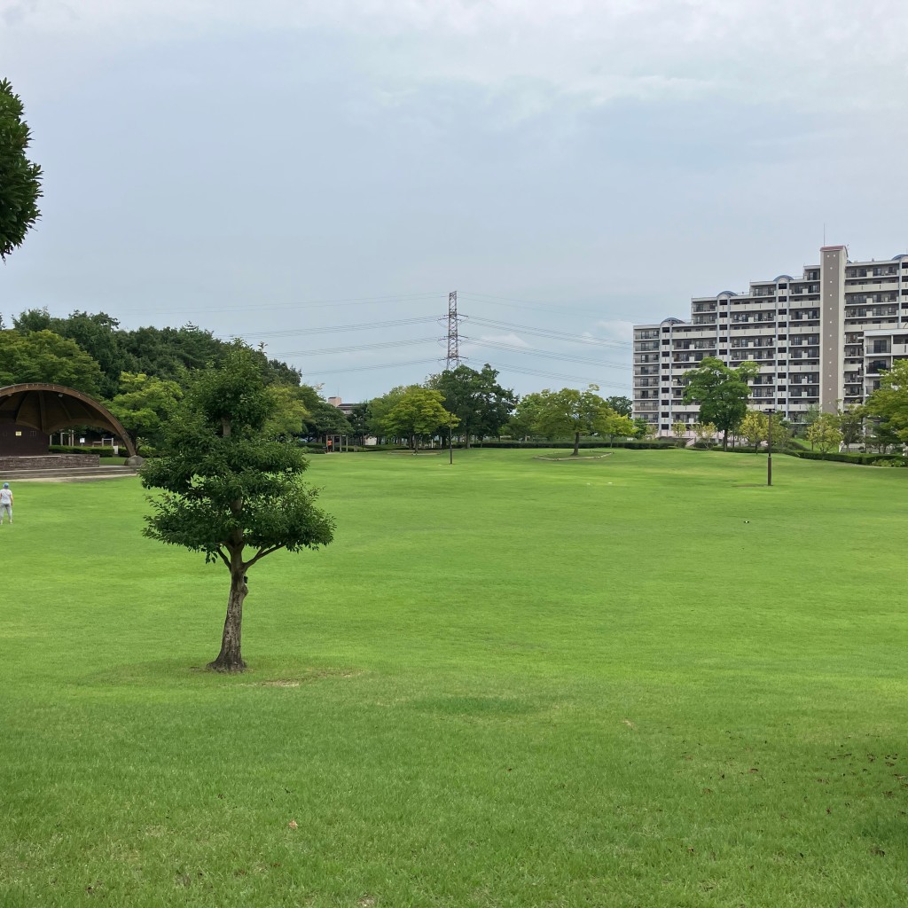 実際訪問したユーザーが直接撮影して投稿した城山公園桃花台中央公園の写真