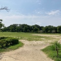 実際訪問したユーザーが直接撮影して投稿した観喜寺町公園梅小路公園の写真