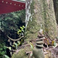 実際訪問したユーザーが直接撮影して投稿した村松寺油山寺の写真