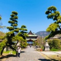 実際訪問したユーザーが直接撮影して投稿した善光寺寺甲斐 善光寺の写真