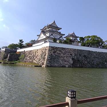 新免無二さんが投稿した岸城町城 / 城跡のお店岸和田城 内堀/キシワダジョウ ウチボリの写真