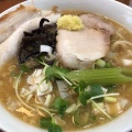 実際訪問したユーザーが直接撮影して投稿した日の出町ラーメン / つけ麺富川製麺所 日の出店の写真