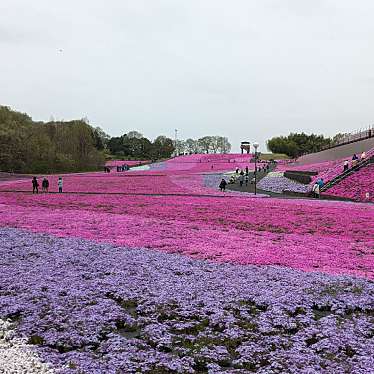 市貝町芝ざくら公園のundefinedに実際訪問訪問したユーザーunknownさんが新しく投稿した新着口コミの写真