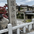 実際訪問したユーザーが直接撮影して投稿した元町神社茨木神社の写真