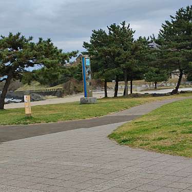 実際訪問したユーザーが直接撮影して投稿した鮫町公園八戸市蕪島プロムナード公園の写真