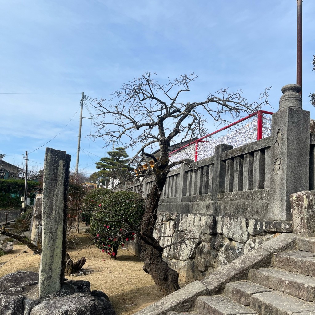 実際訪問したユーザーが直接撮影して投稿した滝宮桜の名所滝宮天満宮の梅の写真