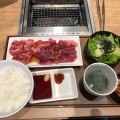 実際訪問したユーザーが直接撮影して投稿した大柏焼肉焼肉ライク 守谷 サービスエリア上り店の写真