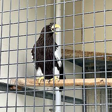 実際訪問したユーザーが直接撮影して投稿した青柳町動物園函館公園動物施設の写真