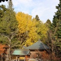 実際訪問したユーザーが直接撮影して投稿した平木寺播州清水寺の写真