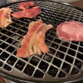 レディース焼肉セット - 実際訪問したユーザーが直接撮影して投稿した富岡焼肉焼肉 蒼の写真のメニュー情報