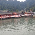 実際訪問したユーザーが直接撮影して投稿した宮島町神社嚴島神社 参拝入口の写真