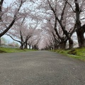 実際訪問したユーザーが直接撮影して投稿した厚田区望来公園戸田記念墓地公園の写真