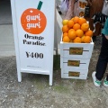 実際訪問したユーザーが直接撮影して投稿したヴィソンジュースバーOrange paradiseの写真