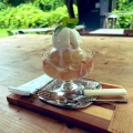 桃デザート - 実際訪問したユーザーが直接撮影して投稿した横山カフェ豆小屋の写真のメニュー情報