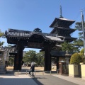 実際訪問したユーザーが直接撮影して投稿した善通寺町寺善通寺の写真