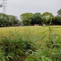 実際訪問したユーザーが直接撮影して投稿した松葉町公園松葉第一公園の写真